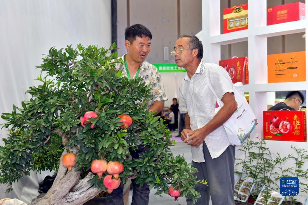 华人捕鱼下载