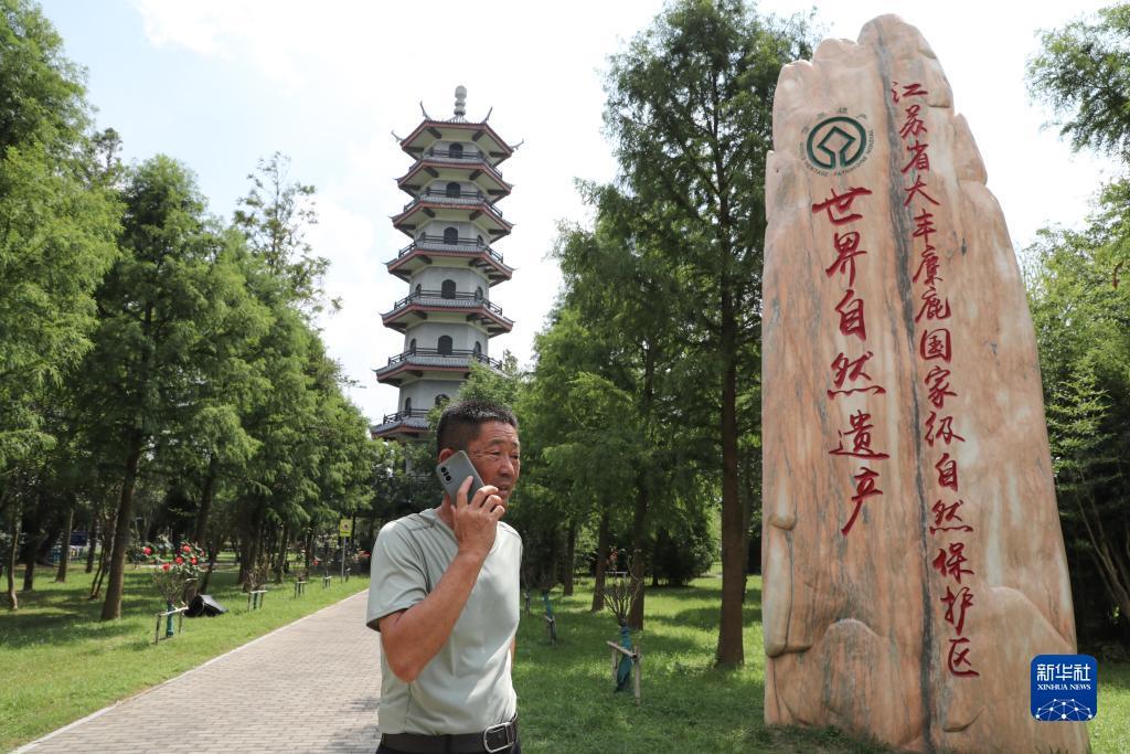 龙虎国际平台登录